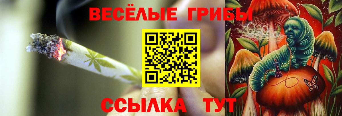 Псилоцибиновые грибы мухоморы  Вход с VPN  Шадринск 